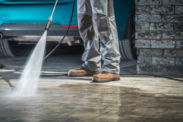 Best House Exterior Washing  in Mims, FL