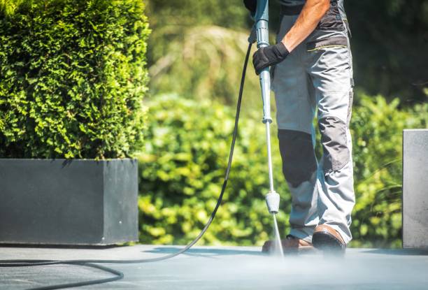 Best Soft Washing  in Mims, FL